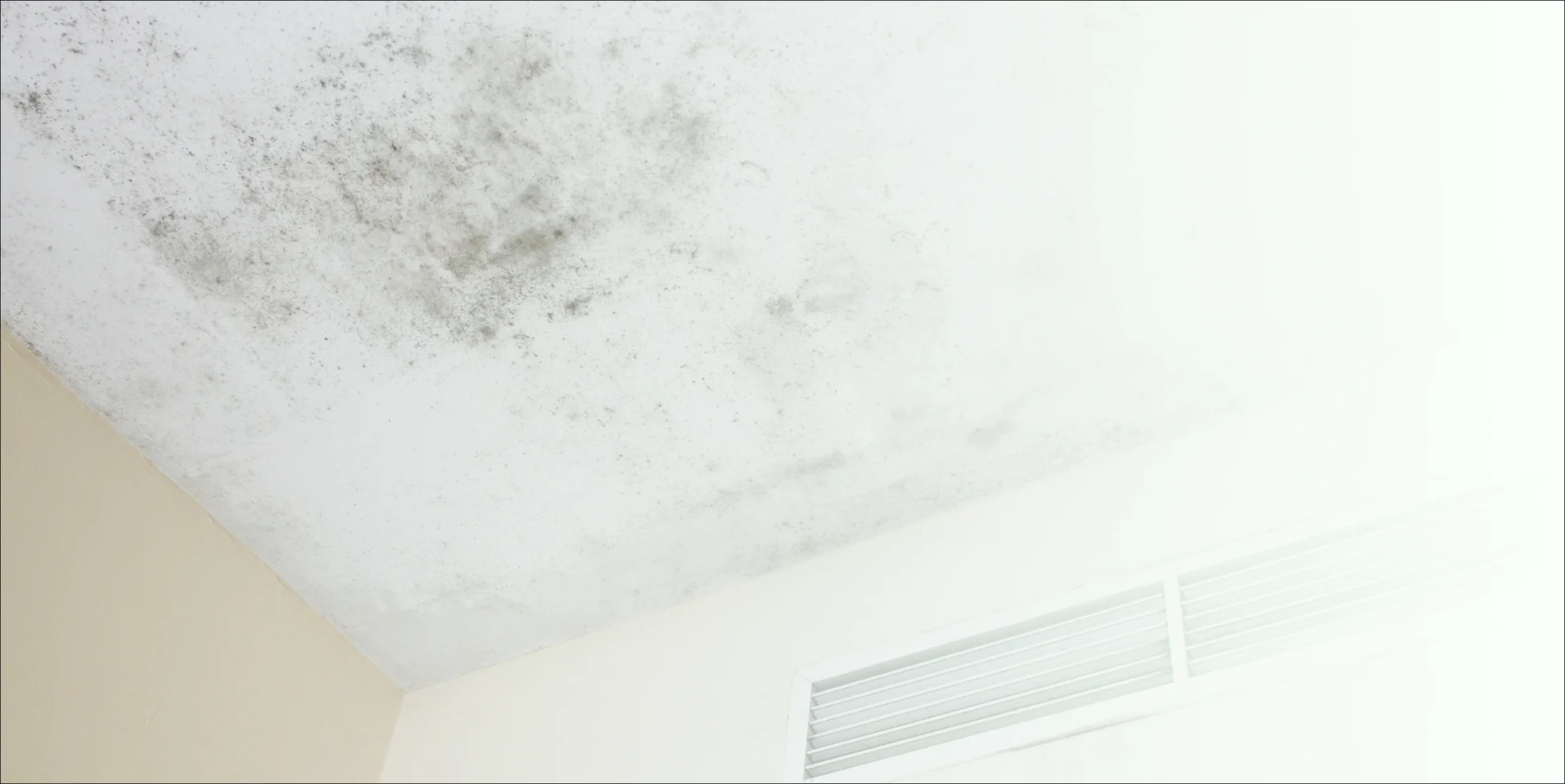 mold on the ceiling of a house